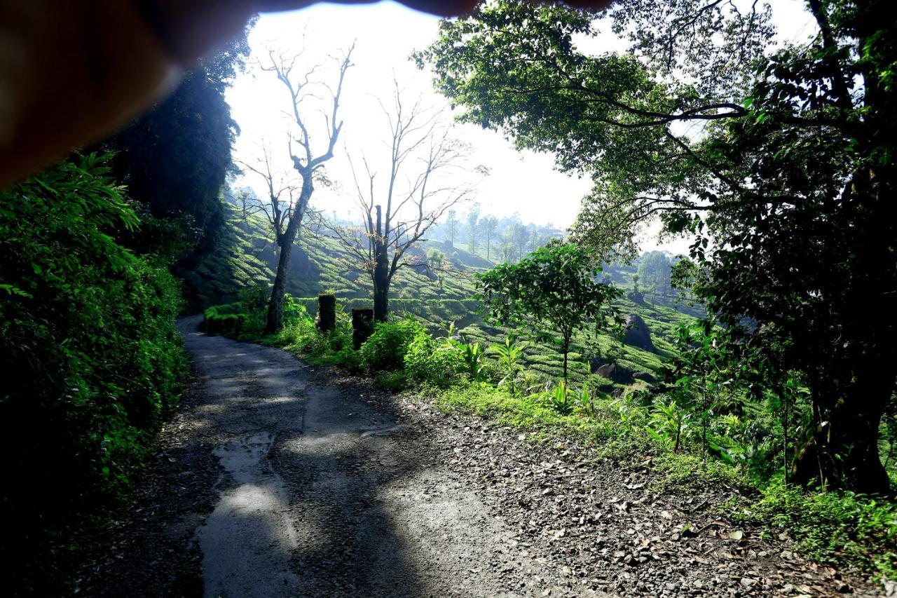 Green Magic Home Munnar Eksteriør bilde