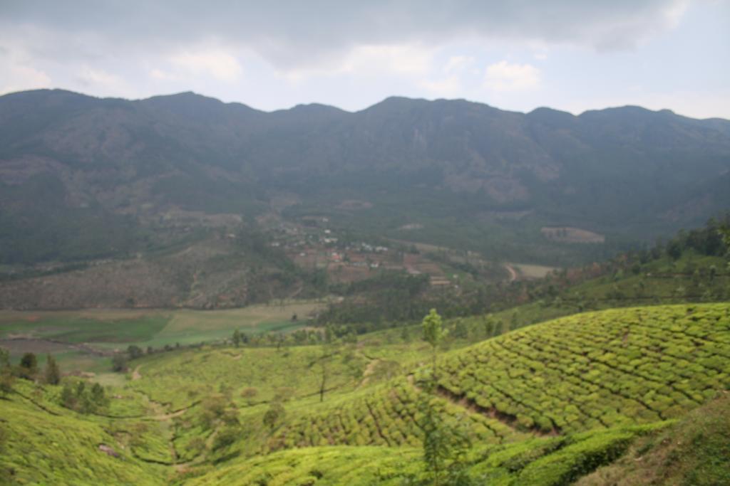 Green Magic Home Munnar Eksteriør bilde