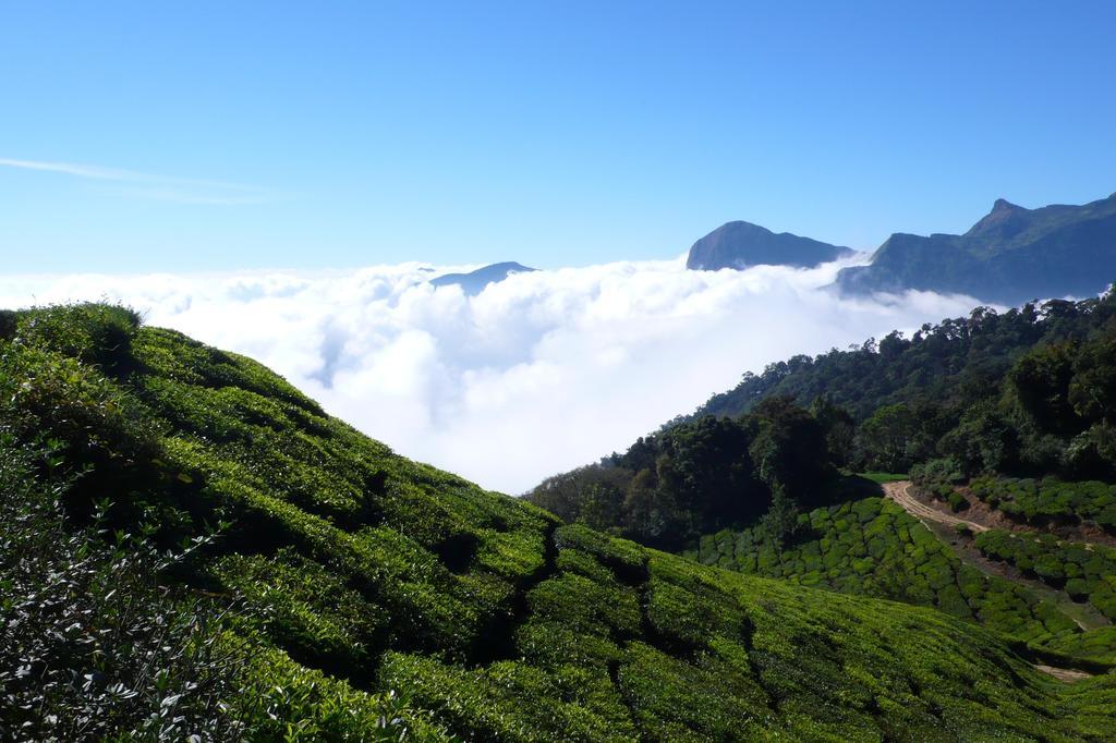Green Magic Home Munnar Eksteriør bilde