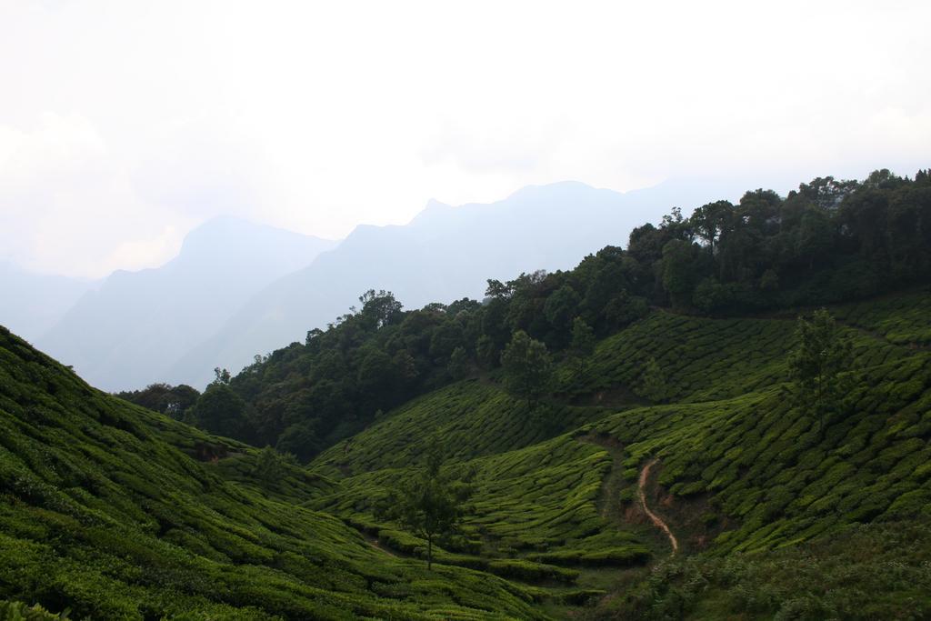 Green Magic Home Munnar Eksteriør bilde